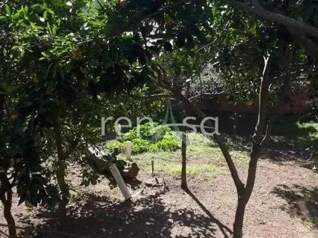 Casa / Sobrado para Venda em Caxias do Sul/RS Universitário 3 Quartos