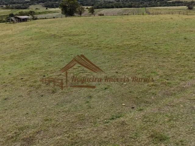 Casa / Sobrado para Venda em Cesário Lange/SP Área Rural de Cesário Lange