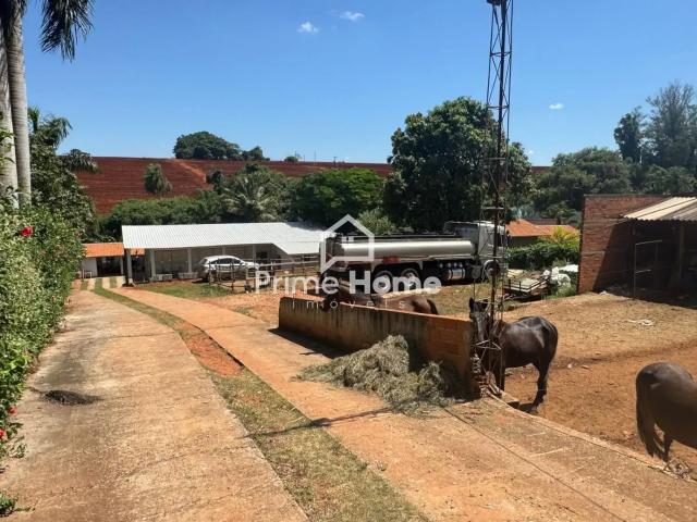 Casa / Sobrado para Venda em Cosmópolis/SP Recanto Novo Cosmópolis 3 Quartos
