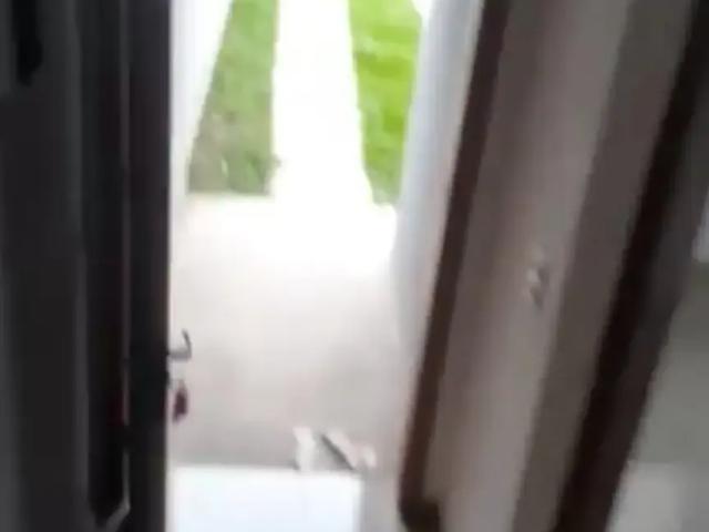 Casa / Sobrado para Venda em Curitiba/PR Campo de Santana 3 Quartos