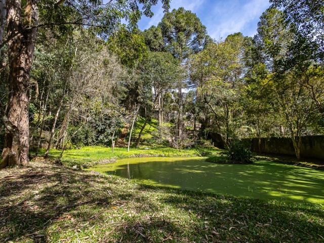 Casa / Sobrado para Venda em Curitiba/PR Taboão 5 Quartos