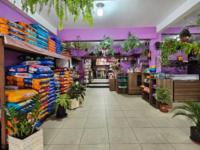 Casa / Sobrado para Venda em Curitiba/PR Tatuquara 3 Quartos
