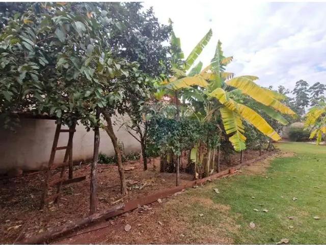 Casa / Sobrado para Venda em Dumont/SP Centro 1 Quartos