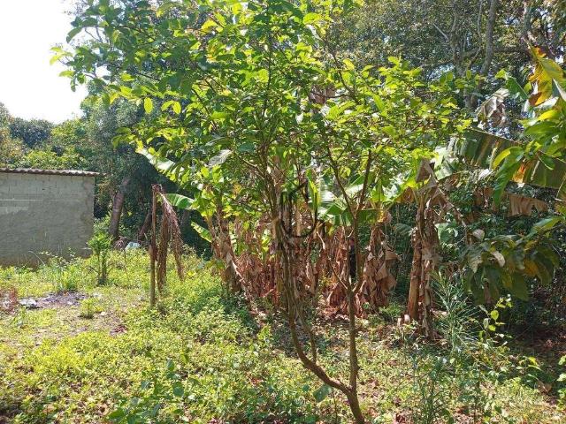 Casa / Sobrado para Venda em Embu Guaçu/SP Centro 1 Quartos