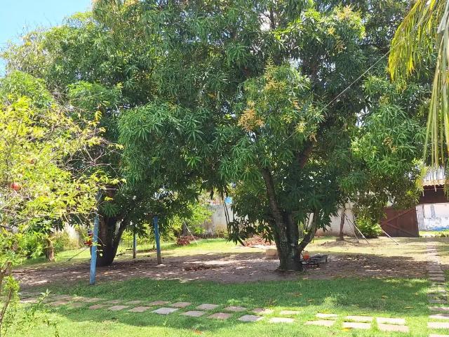 Casa / Sobrado para Venda em Entre Rios/BA Porto de Sauipe 7 Quartos