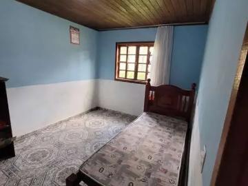 Eucalíptos, Fazenda Rio Grande, Balneário Piçarras