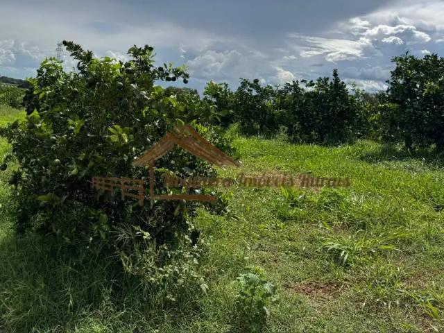 Casa / Sobrado para Venda em Fernandópolis/SP Área Rural de Fernandópolis