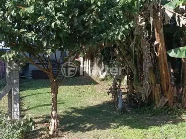 Casa / Sobrado para Venda em Florianópolis/SC Campeche 3 Quartos