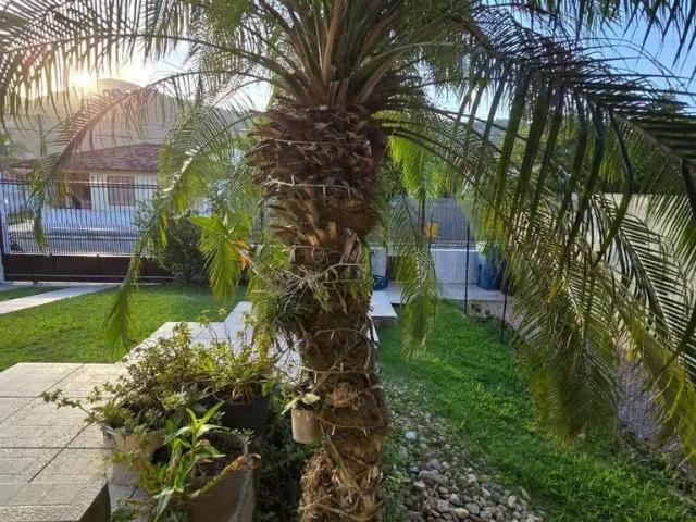 Casa / Sobrado para Venda em Florianópolis/SC Armação do Pântano do Sul 3 Quartos