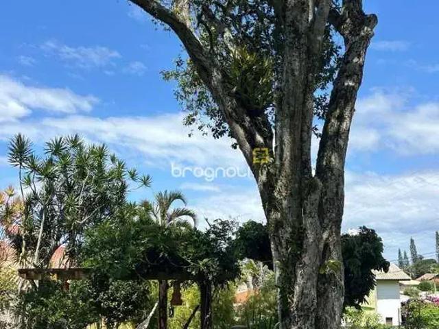 Casa / Sobrado para Venda em Florianópolis/SC Sambaqui 3 Quartos
