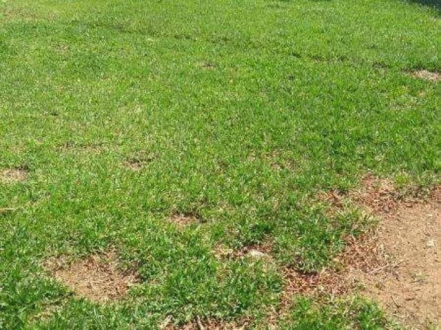 Casa / Sobrado para Venda em Franca/SP Santo Agostinho 2 Quartos