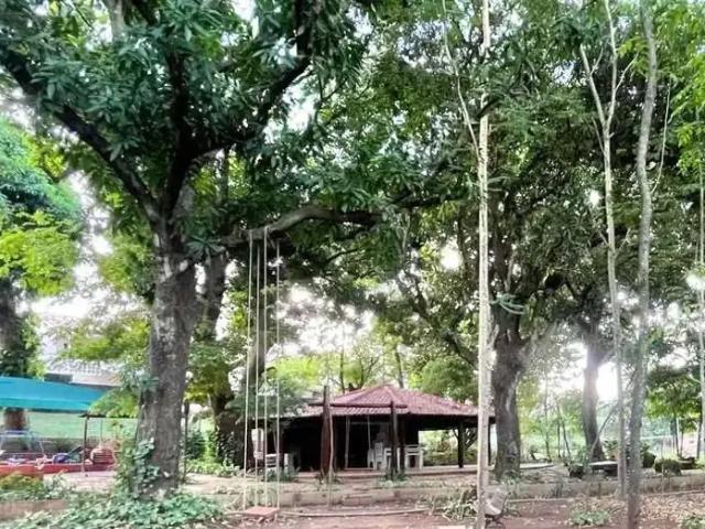 Casa / Sobrado para Venda em Goiânia/GO Parque Anhangüera 4 Quartos