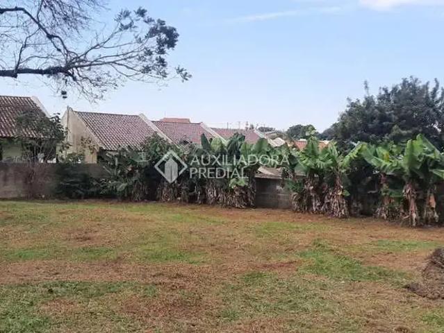 Casa / Sobrado para Venda em Gravataí/RS Morada Gaúcha 2 Quartos