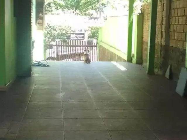 Casa / Sobrado para Venda em Gravataí/RS Bom Sucesso 2 Quartos
