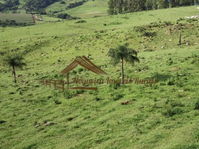 Casa / Sobrado para Venda em Guaranésia/MG Zona Rural