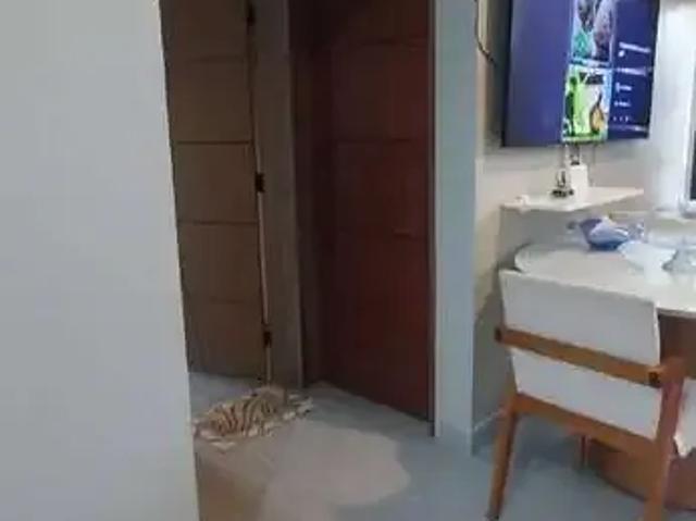 Casa / Sobrado para Venda em Hortolândia/SP Parque Bellaville 2 Quartos