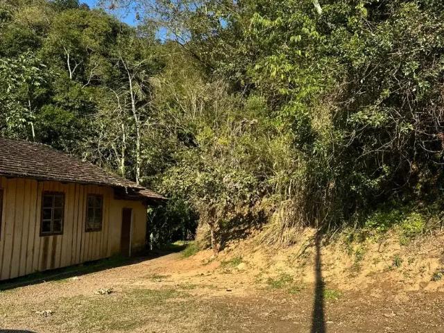 Casa / Sobrado para Venda em Ibirama/SC Centro 3 Quartos
