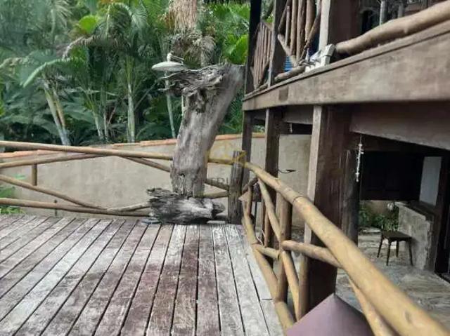 Casa / Sobrado para Venda em Ilhabela/SP Feiticeira 8 Quartos