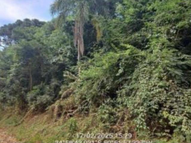 Casa / Sobrado para Venda em Ivaí/PR Centro