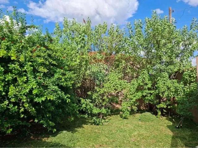 Casa / Sobrado para Venda em Jardinópolis/SP Centro 2 Quartos