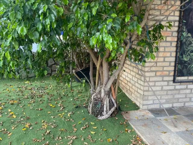 Casa / Sobrado para Locação em João Pessoa/PB Jardim Oceania 1 Quartos