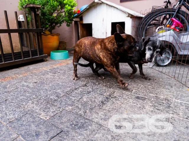Casa / Sobrado para Venda em Joinville/SC Espinheiros 2 Quartos
