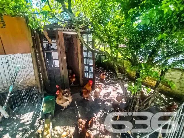 Casa / Sobrado para Venda em Joinville/SC Jarivatuba 4 Quartos