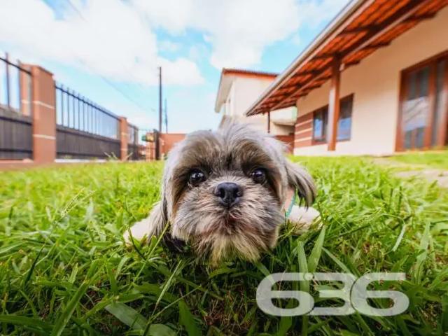 Casa / Sobrado para Venda em Joinville/SC João Costa 3 Quartos
