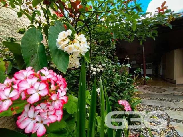 Casa / Sobrado para Venda em Joinville/SC Petrópolis 3 Quartos