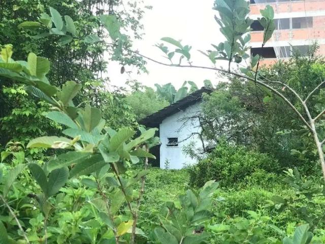 Casa / Sobrado para Venda em Joinville/SC Santo Antônio