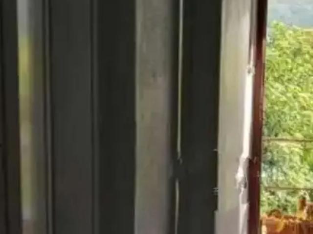 Casa / Sobrado para Venda em Lindolfo Collor/RS Feldmann 4 Quartos