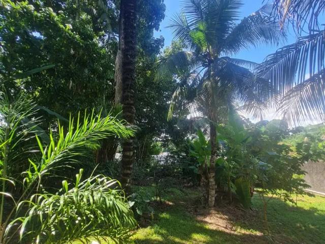Casa / Sobrado para Venda em Manaus/AM Aleixo 5 Quartos