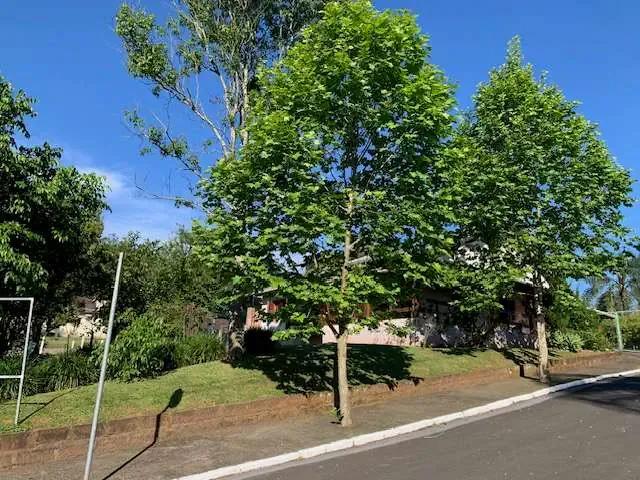 Casa / Sobrado para Venda em Maratá/RS Centro 3 Quartos