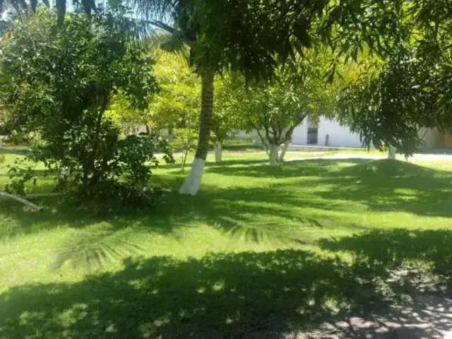 Casa / Sobrado para Venda em Marechal Deodoro/AL Barra Nova 3 Quartos