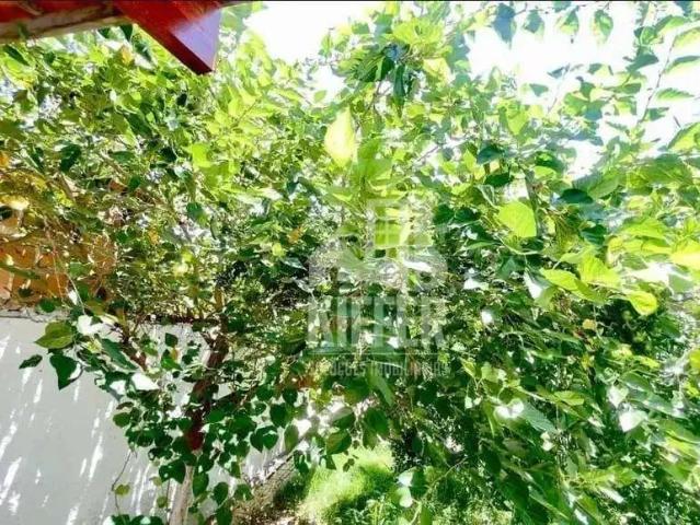 Casa / Sobrado para Venda em Maricá/RJ Parque Nanci 2 Quartos