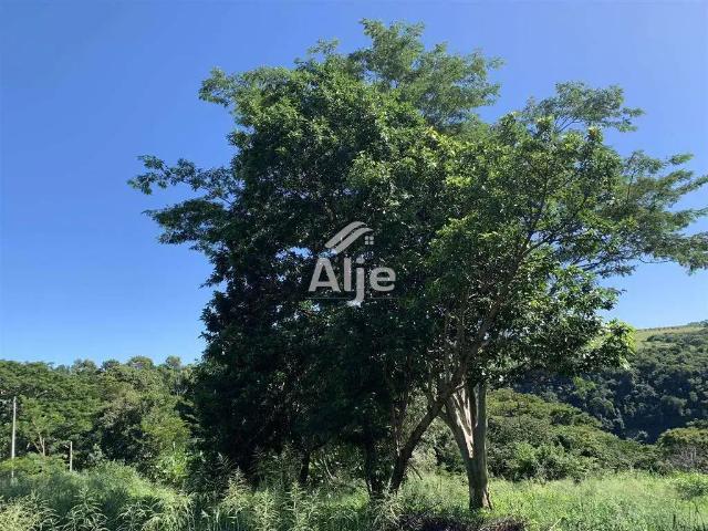 Casa / Sobrado para Venda em Marília/SP Parque Serra Dourada