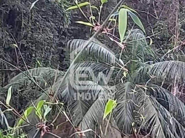 Casa / Sobrado para Venda em Massaranduba/SC Centro 1 Quartos