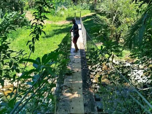 Casa / Sobrado para Venda em Morretes/PR Rio Sagrado 3 Quartos