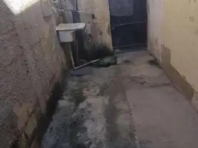 Casa / Sobrado para Venda em Nilópolis/RJ Centro 1 Quartos
