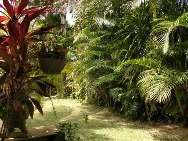 Casa / Sobrado para Venda em Nísia Floresta/RN Bonfim 3 Quartos