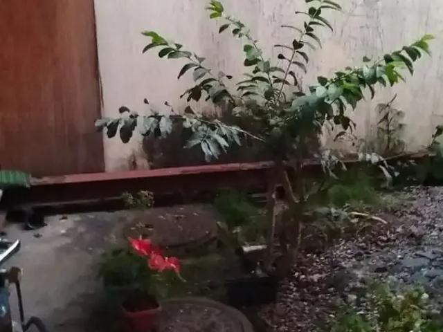 Casa / Sobrado para Venda em Niterói/RJ Ponta D'Areia 4 Quartos