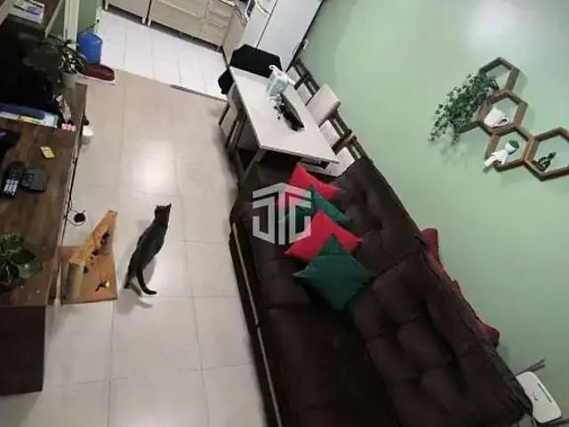 Casa / Sobrado para Venda em Novo Hamburgo/RS Canudos 2 Quartos
