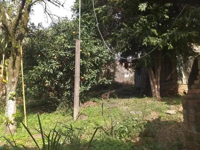 Casa / Sobrado para Venda em Novo Hamburgo/RS Primavera 1 Quartos