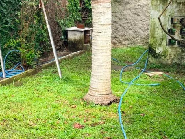 Casa / Sobrado para Venda em Olinda/PE Bonsucesso 3 Quartos