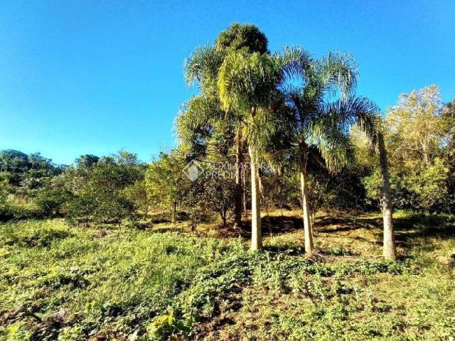 Casa / Sobrado para Venda em Osório/RS Morro da Borússia 2 Quartos