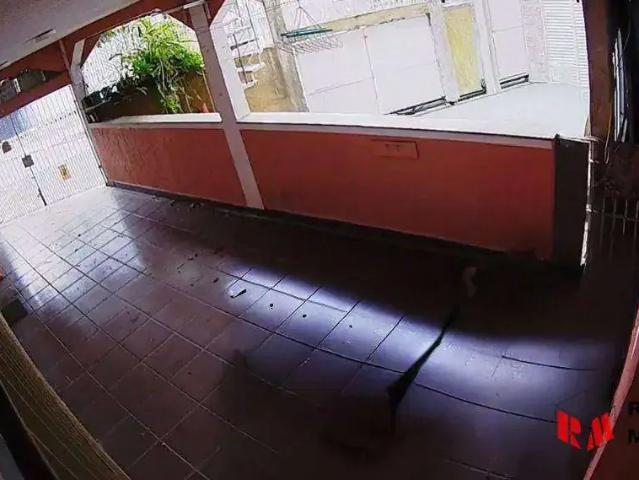 Casa / Sobrado para Venda em Osasco/SP Cipava 5 Quartos