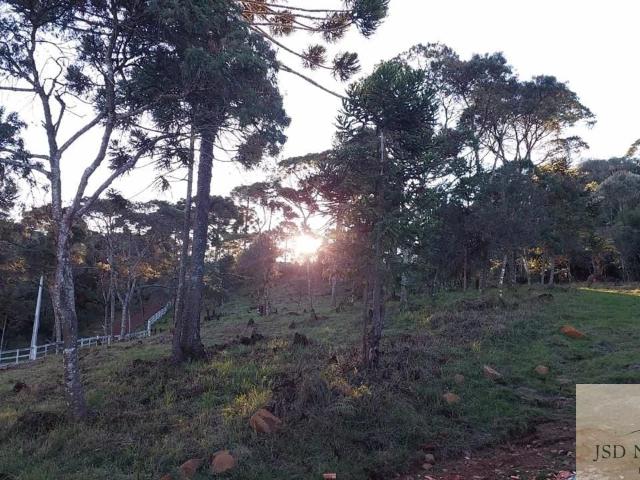 Casa / Sobrado para Venda em Painel/SC Centro 2 Quartos