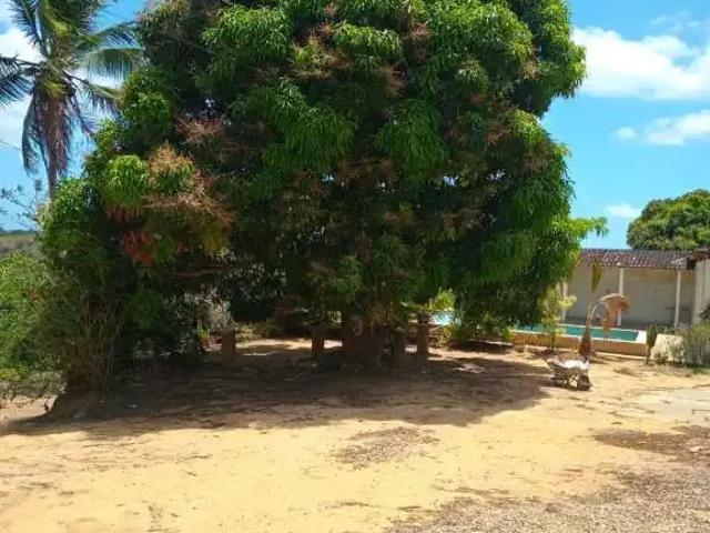 Casa / Sobrado para Venda em Paripueira/AL Centro 3 Quartos