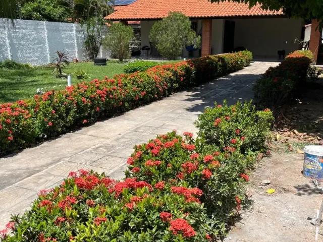 Casa / Sobrado para Venda em Parnaíba/PI Reis Veloso 3 Quartos