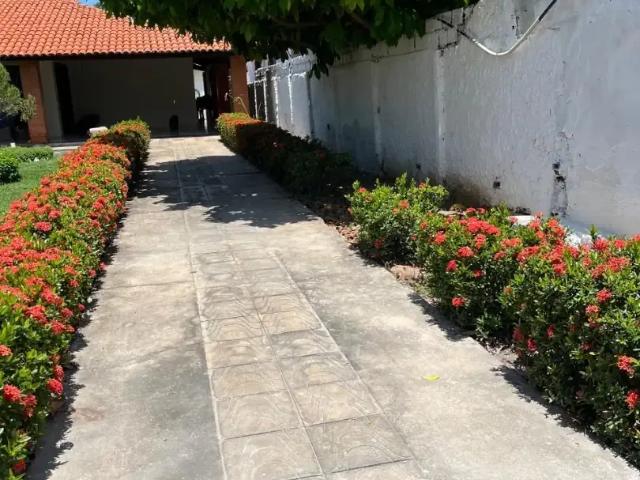 Casa / Sobrado para Venda em Parnaíba/PI São Benedito 3 Quartos